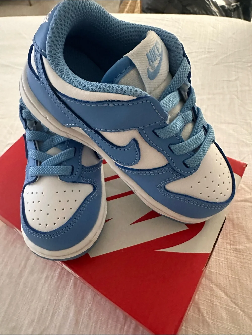 Nike Blue and White Dunk Low (TDE) Shoe Box
