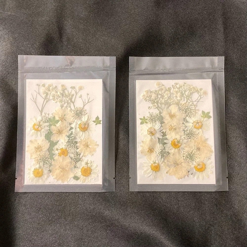 ⭐️ Pressed Flowers Bulk White Dried Flowers Two Pack For Crafting
