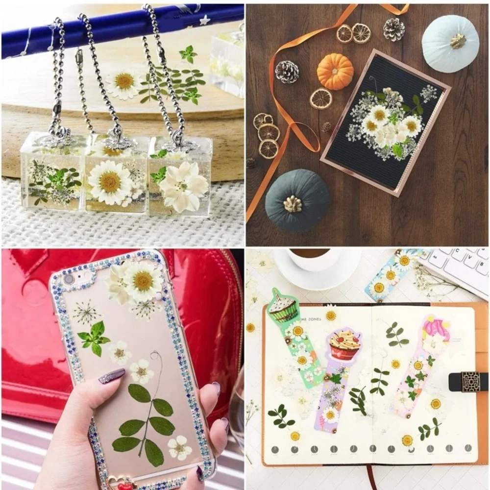 Nuanchu shipping offers bundle