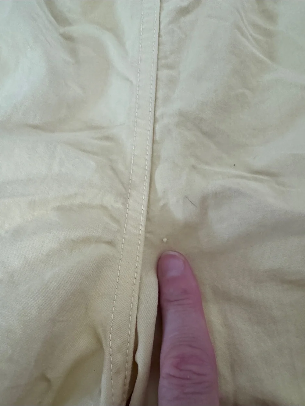 Patagonia light pale