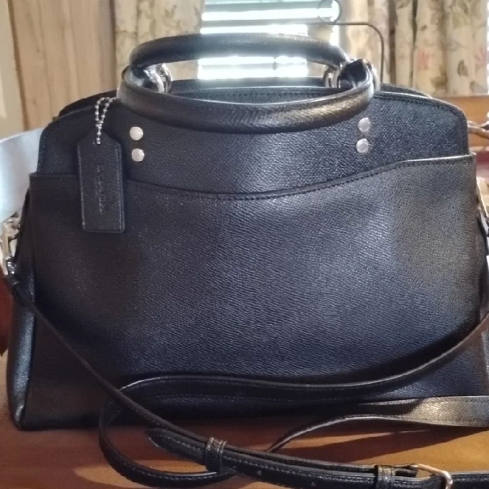 Coach lilli carryall