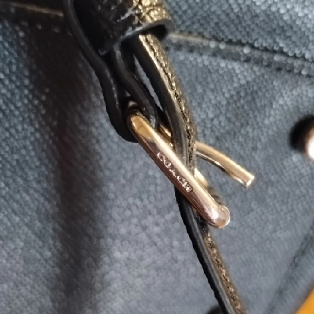 Coach lilli carryall