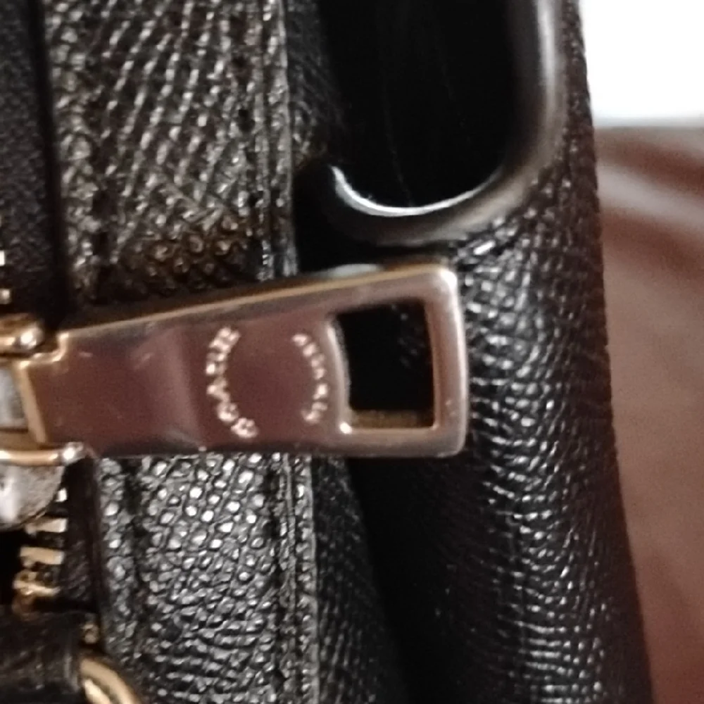 Coach lilli carryall