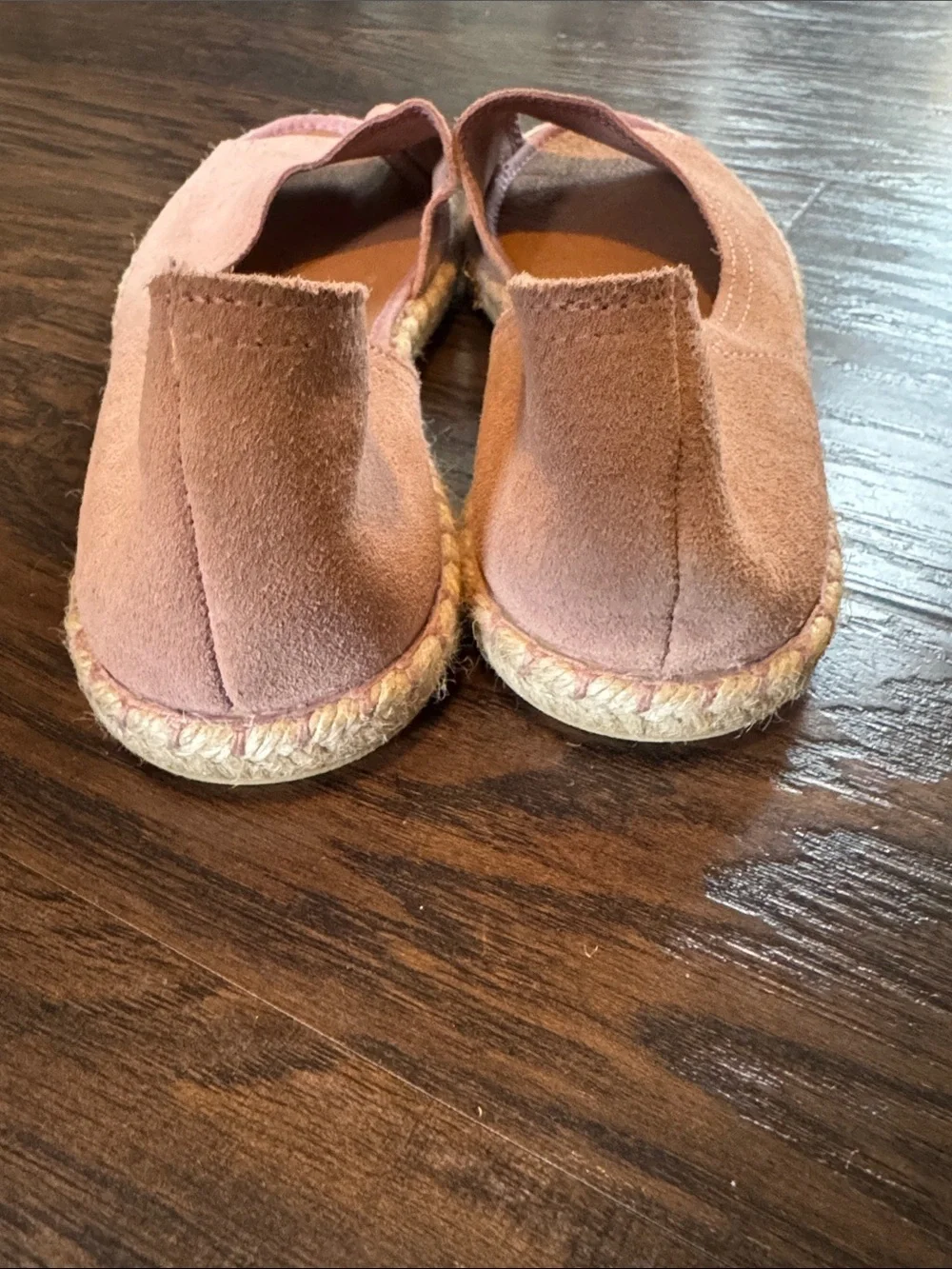 Verbenas soft dusty