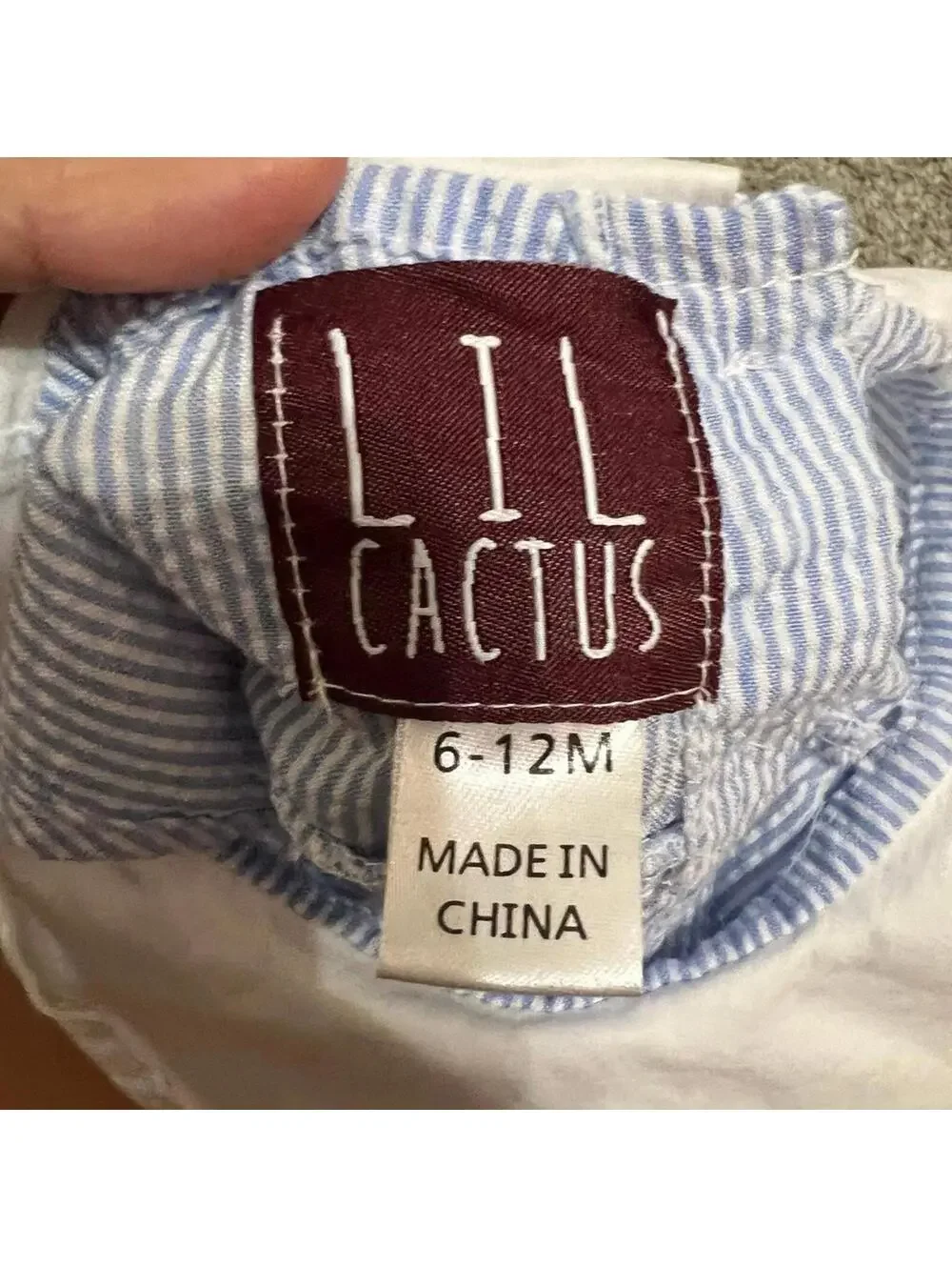 Lil Cactus lil cactus