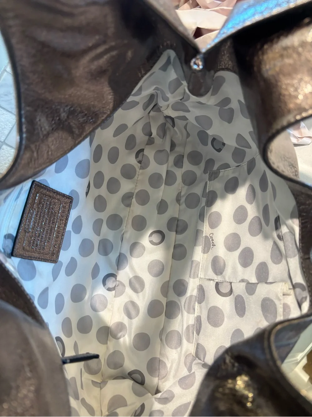 Coach Julia Metallic Leather Hobo Bag