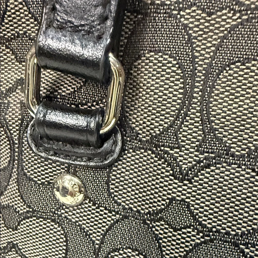 Coach stylish tote