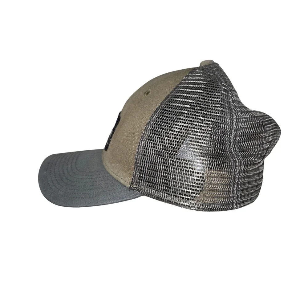 Snapback patagonia logo