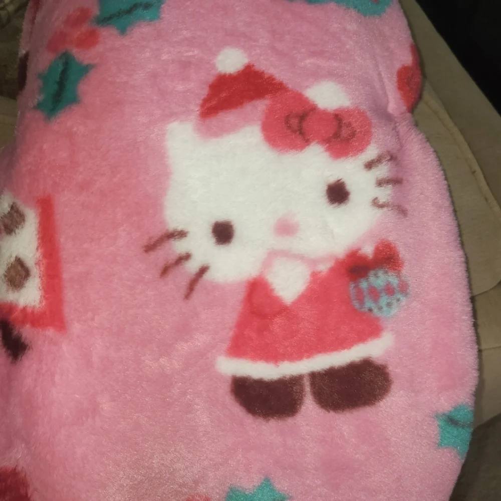 Hello Kitty new tags