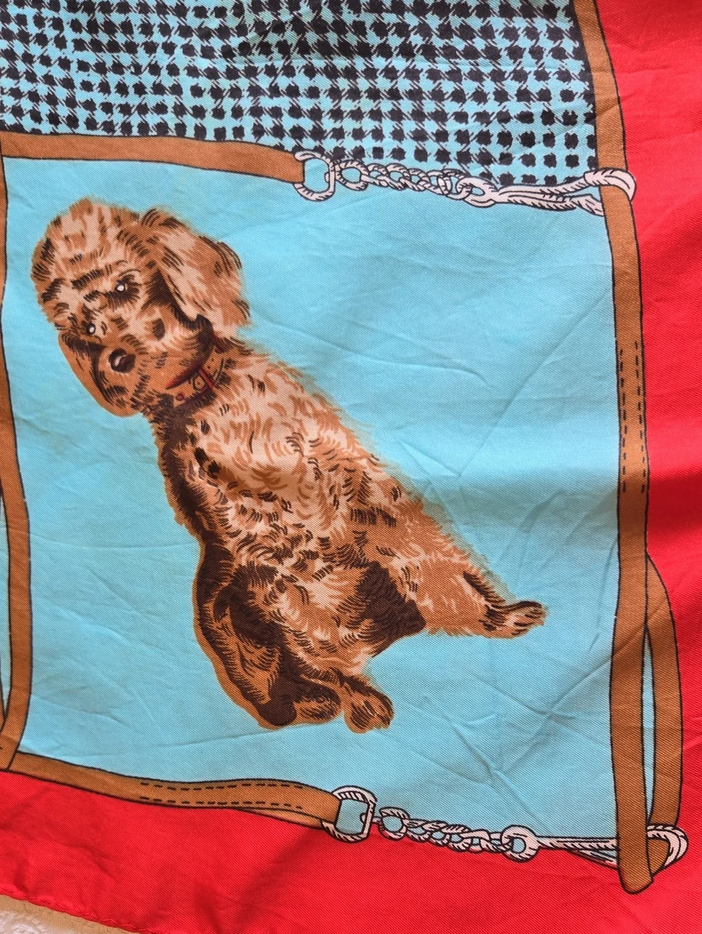N/A picture dog