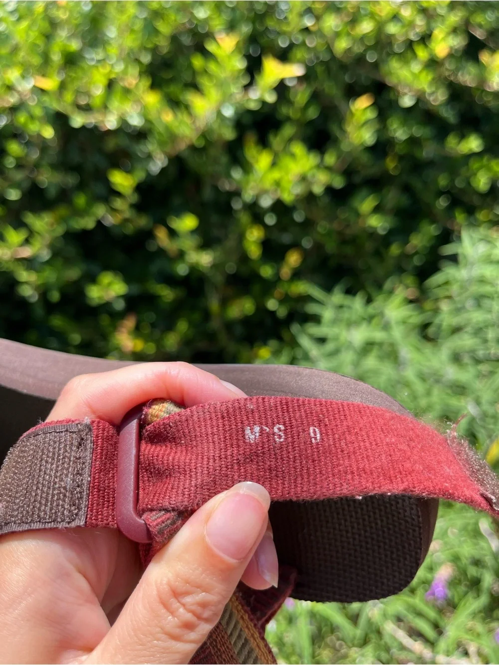 Teva great see
