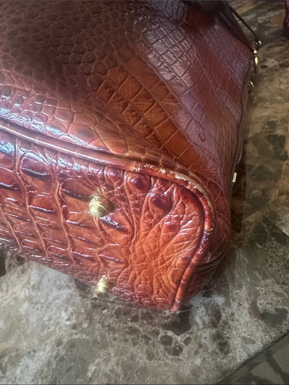 Brahmin elegant brown