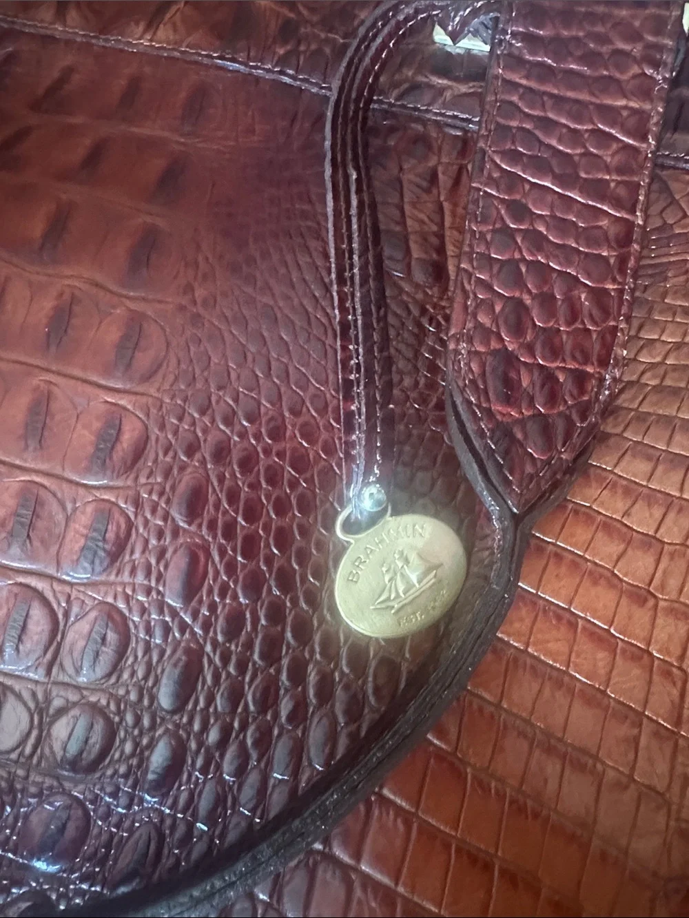 Brahmin elegant brown