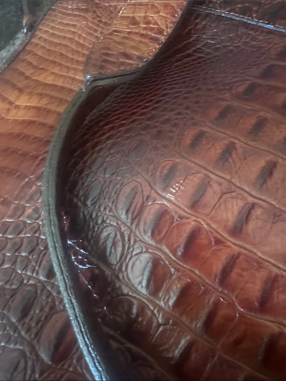 Brahmin elegant brown