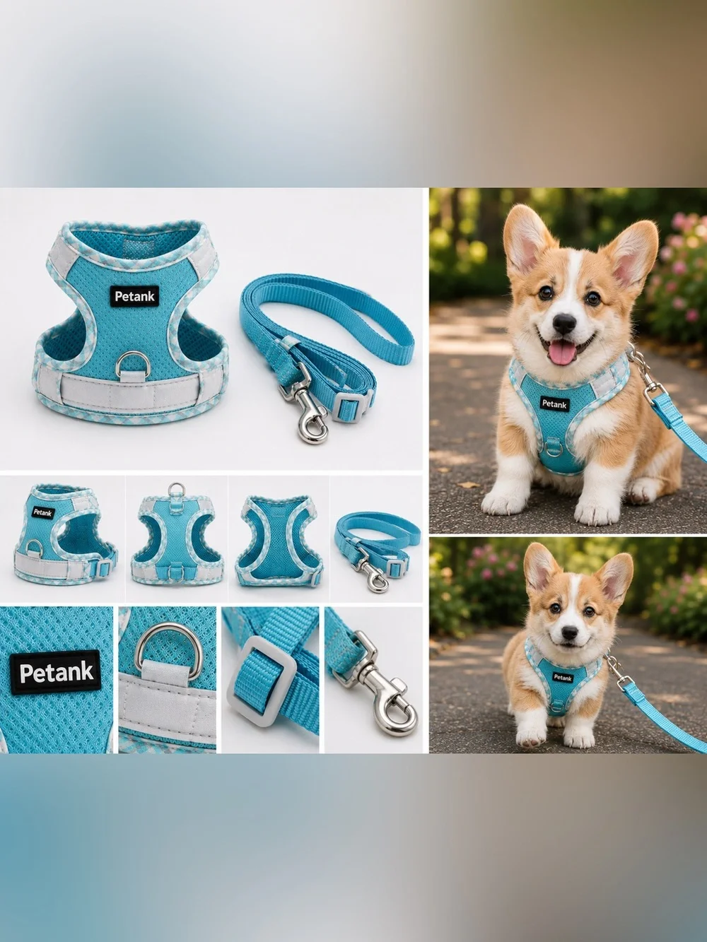 Petank Breathable Mesh Dog Harness & Leash Set - Turquoise