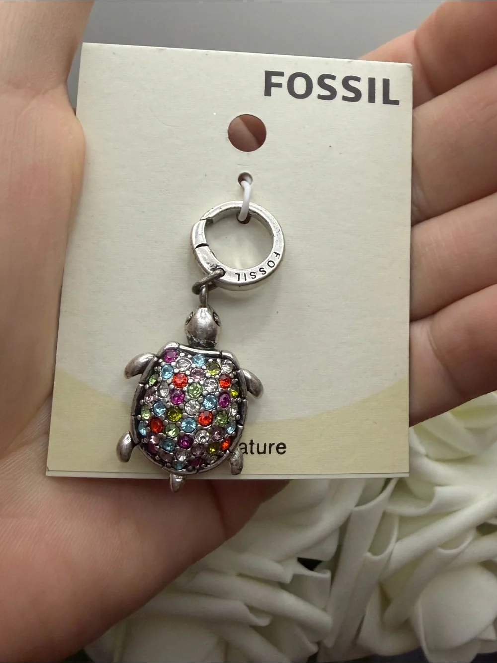 Fossil branded turtle