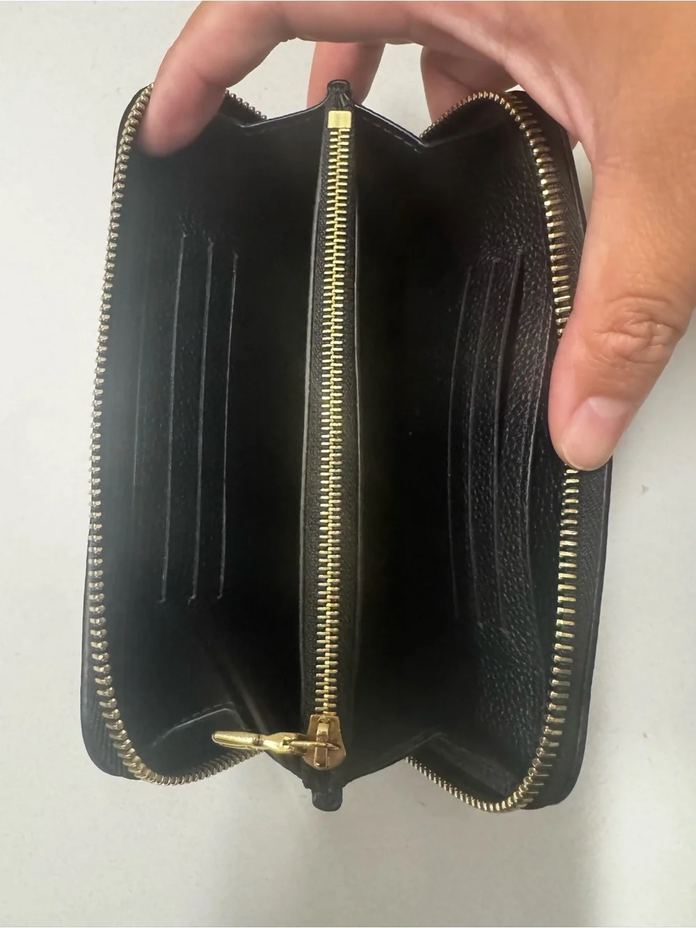 Louis Vuitton excelled used