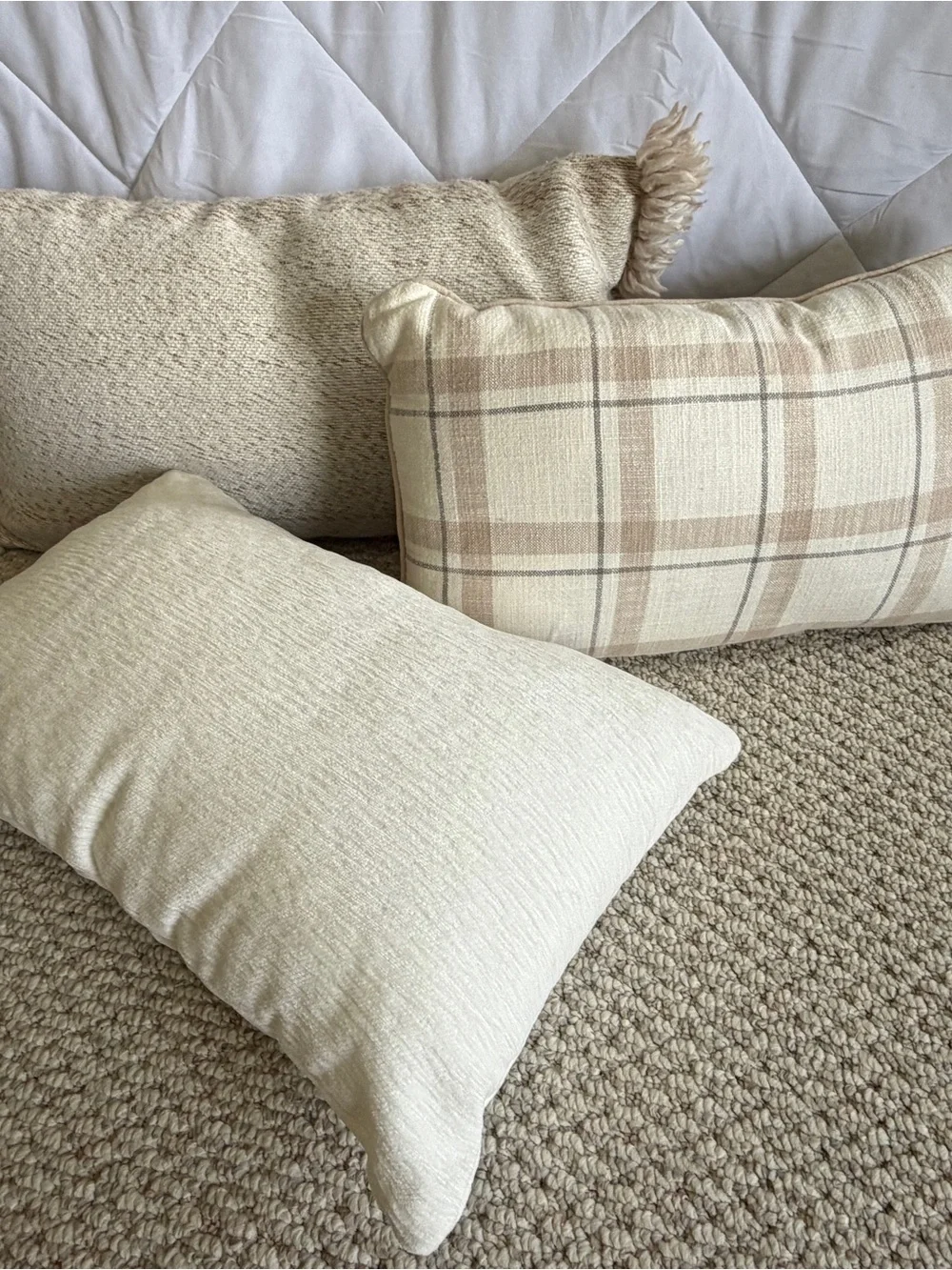Decorative Throw Pillows