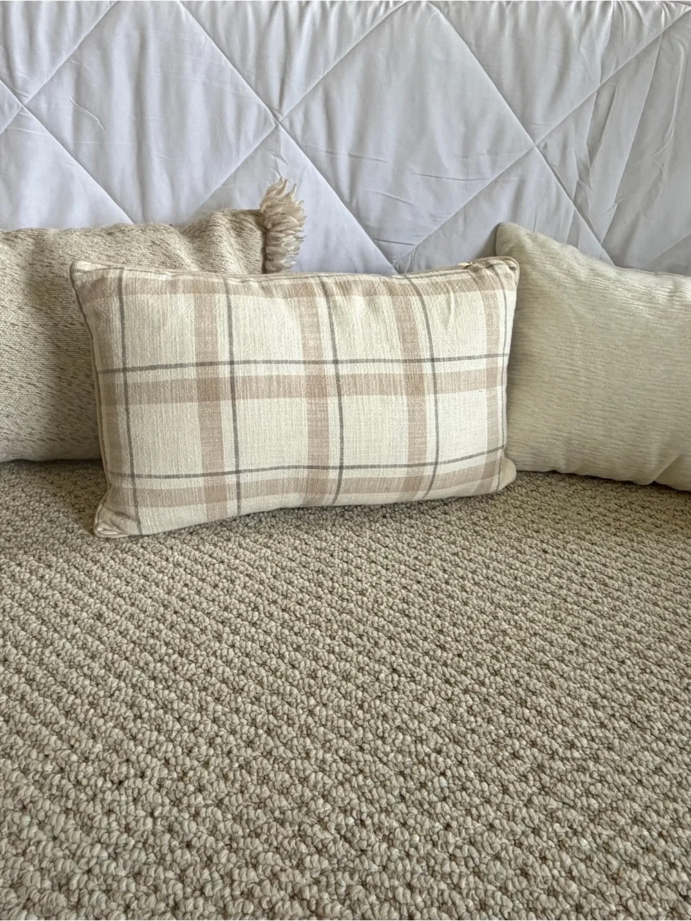 Decorative Throw Pillows