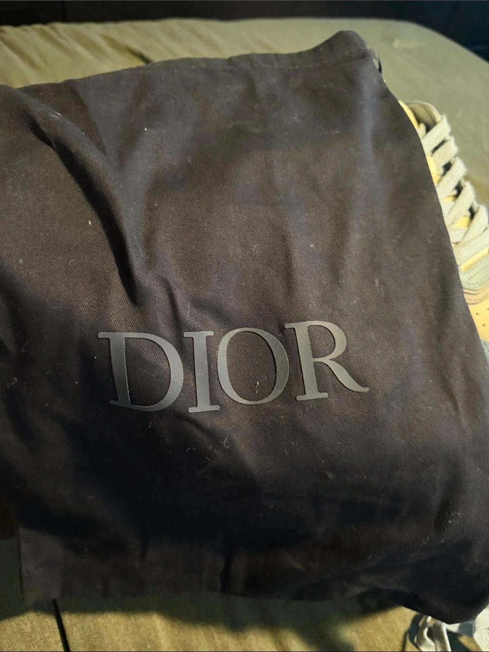 Dior stylish low