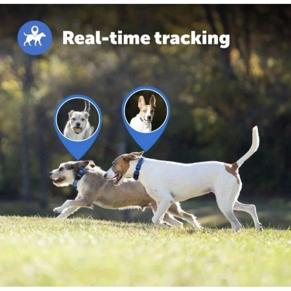 PetSafe real time