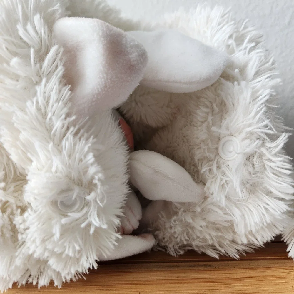 N/A adorable charming or