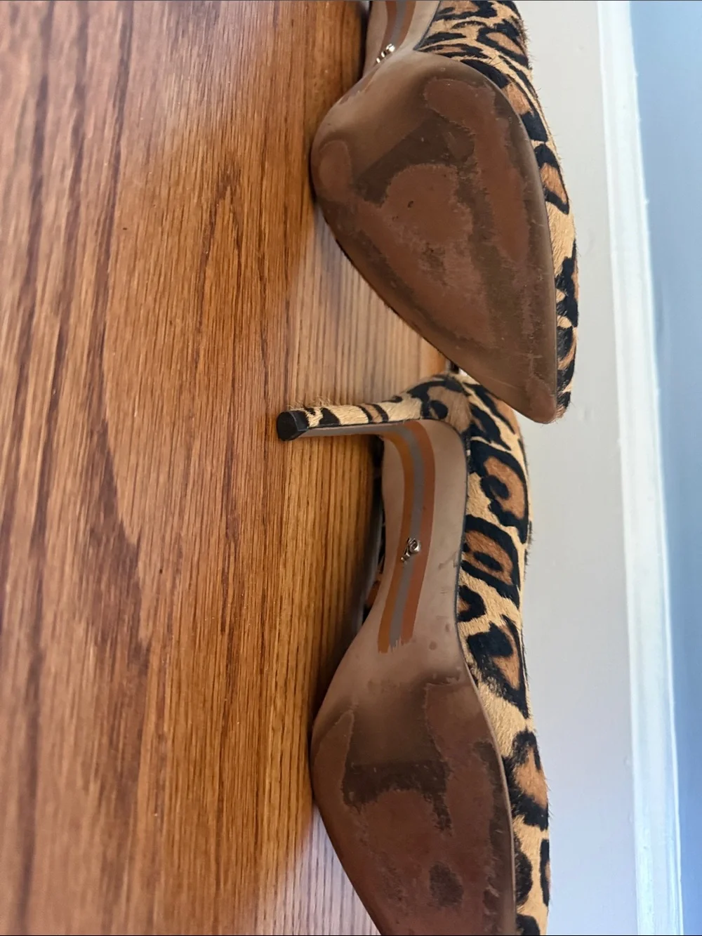 Sam Edelman collection sam