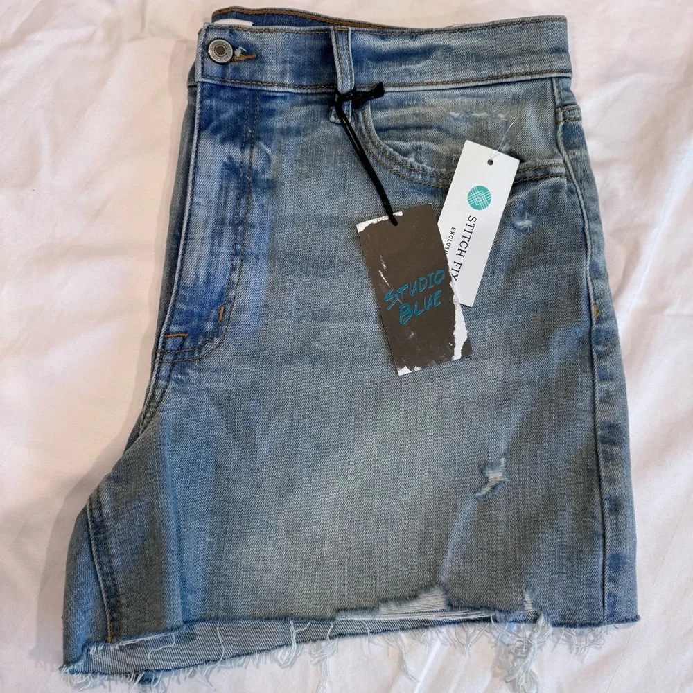 Studio Blue Classic Distressed Denim Cut‎ Off Shorts, Size 16