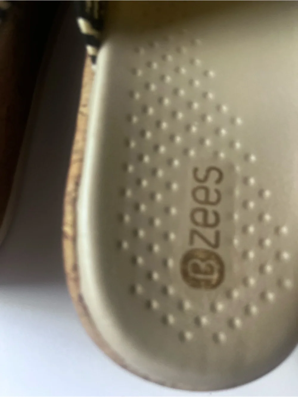 Bzees cloud technology