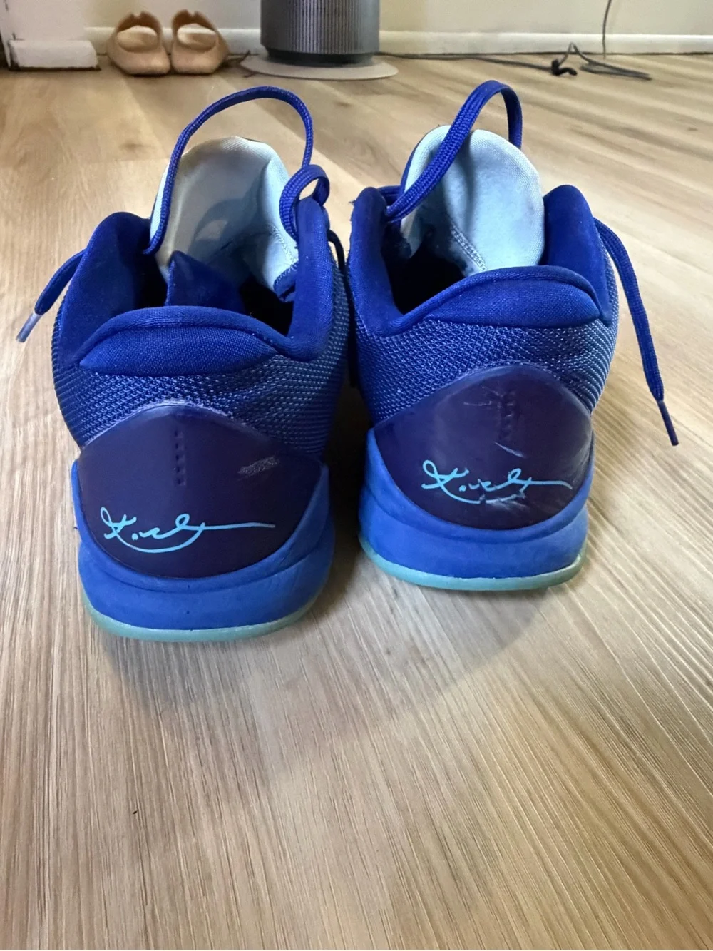 Nike Kobe 5 Protro 'X-Ray'  Size 10