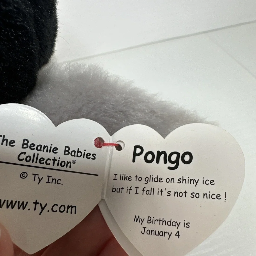 TY Beanie Baby - Pongo the Penguin (6 inch) Stuffed Animal Toy NWT