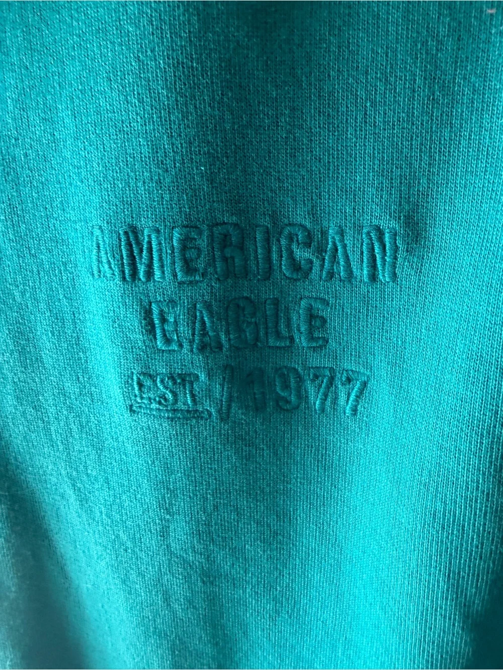 American Eagle Outfitters teal short