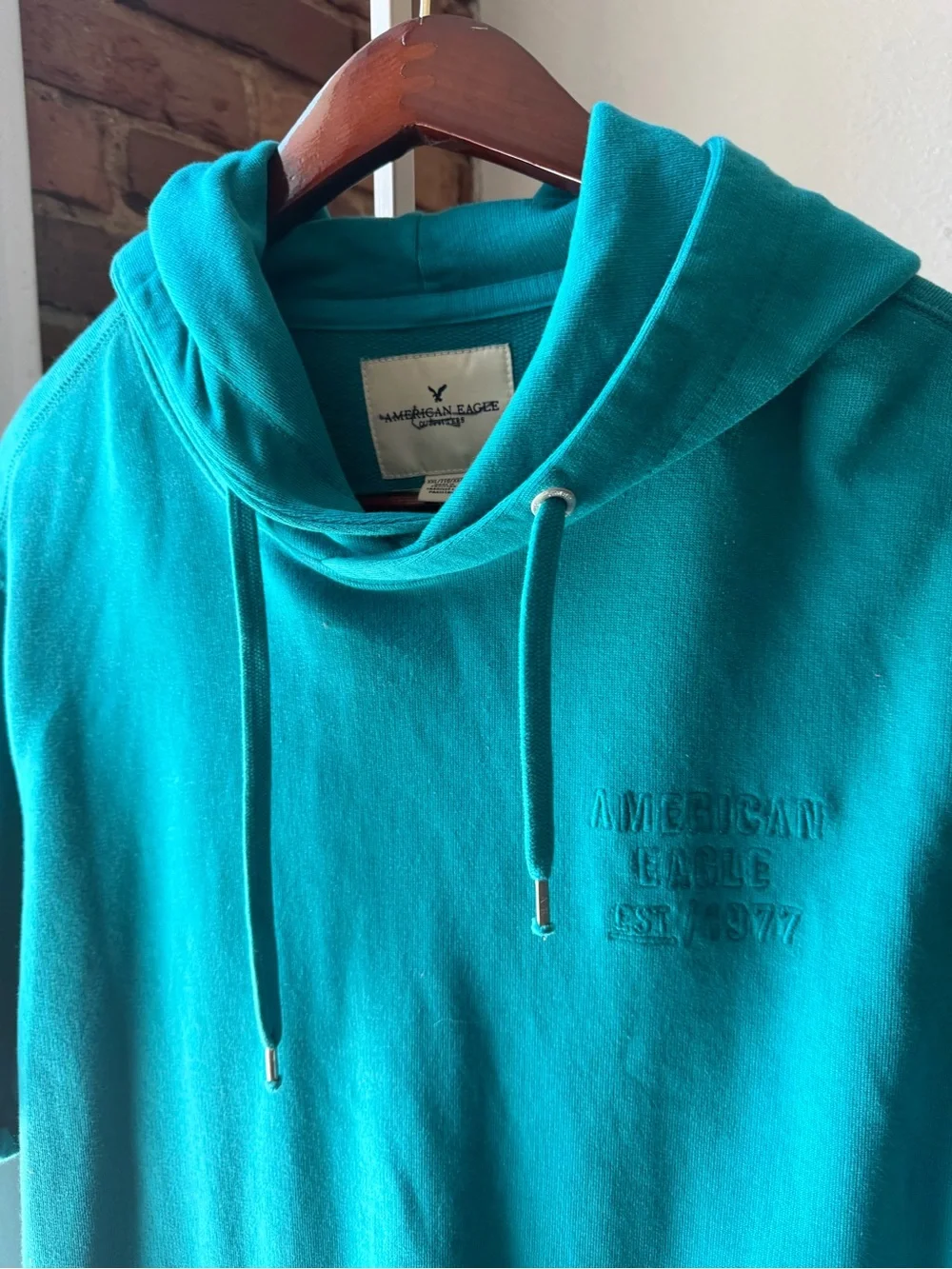 American Eagle Outfitters teal short
