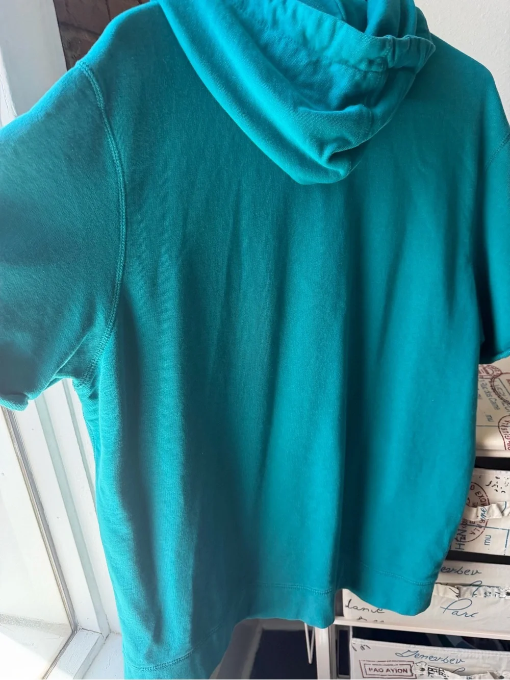 American Eagle Outfitters teal short