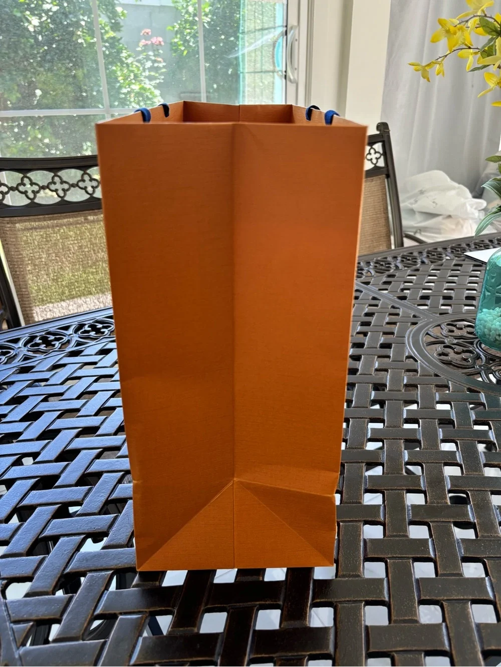 Louis Vuitton authentic louis