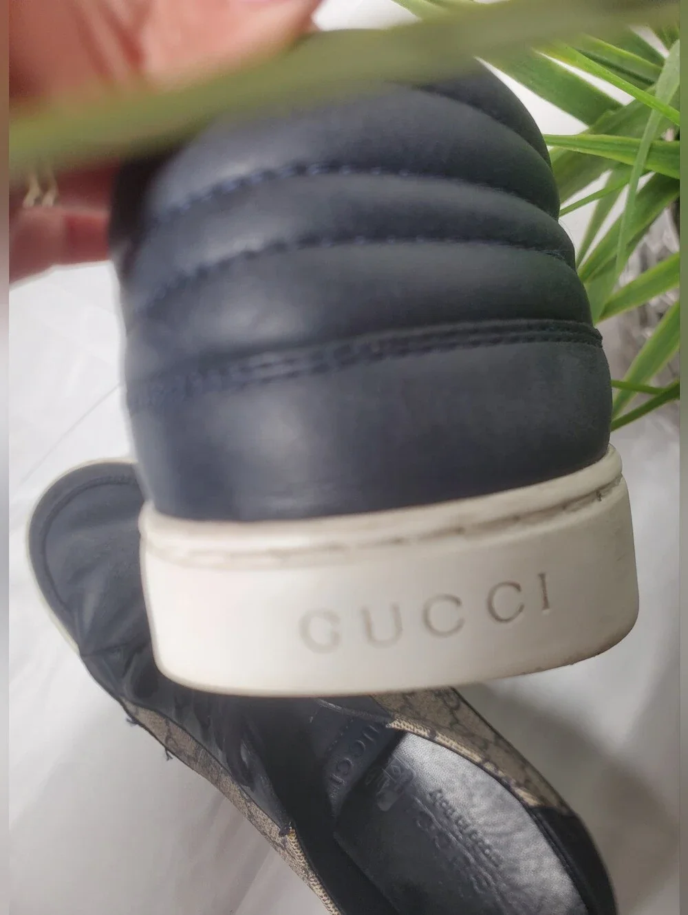 Gucci stylish low