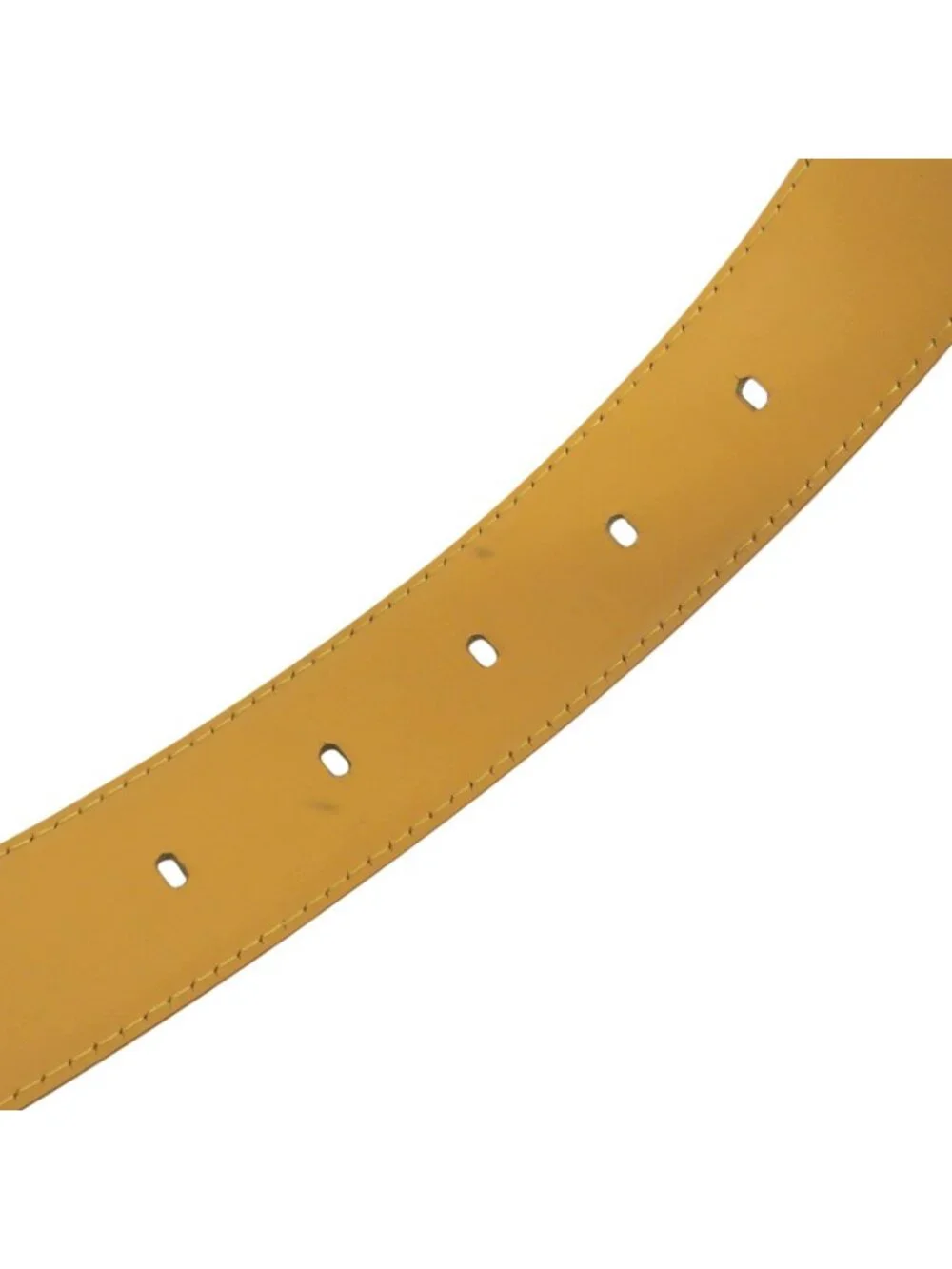 Louis Vuitton brand louis