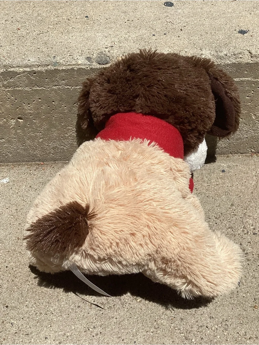 N/A chance puppy