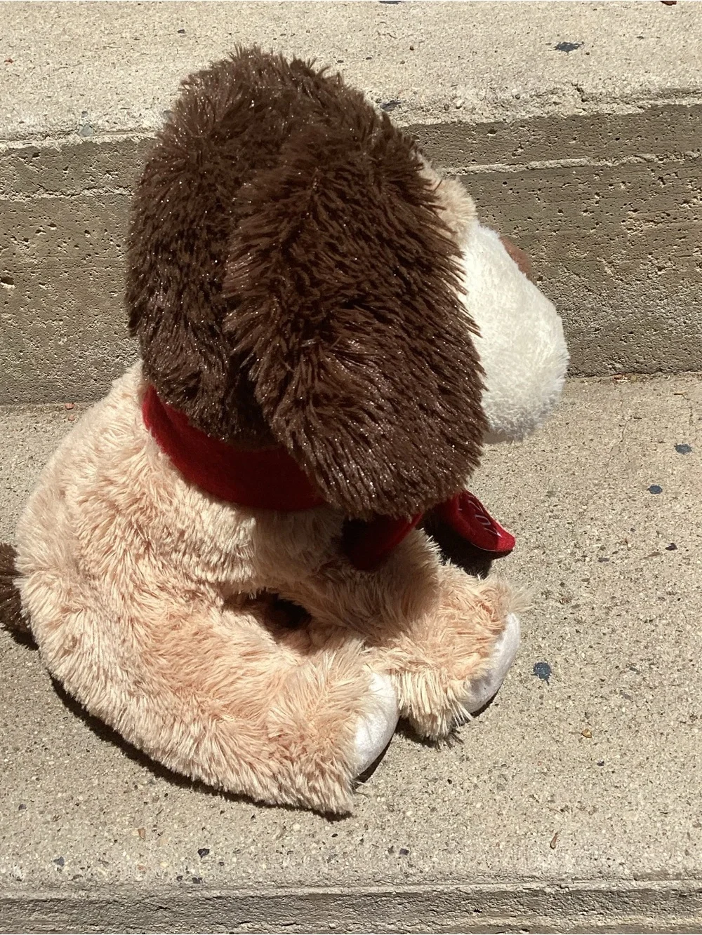 N/A chance puppy