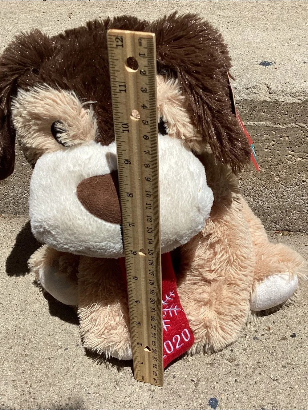N/A chance puppy