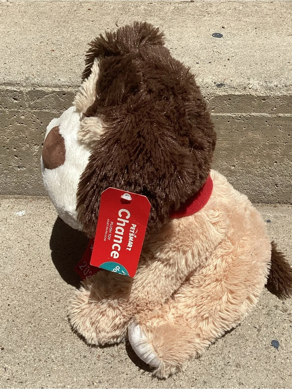 N/A chance puppy