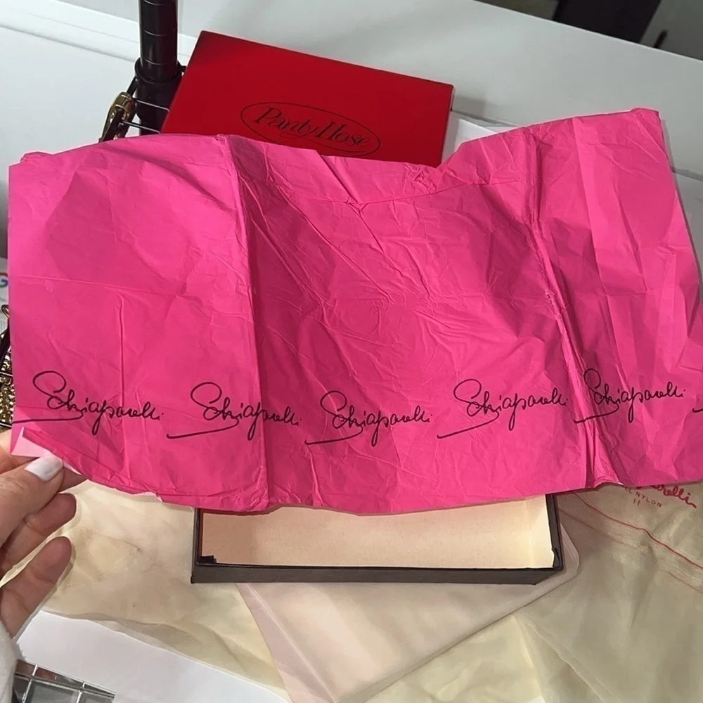 Schiaparelli this very