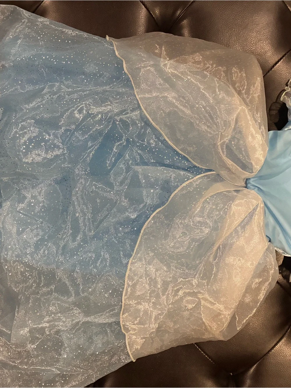Disney princess dress