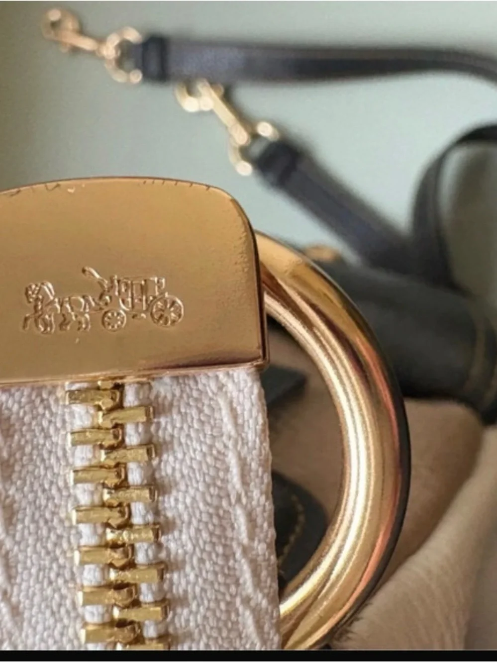 Coach elegant hobo