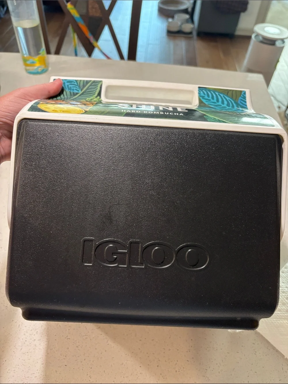 Igloo compact cooler