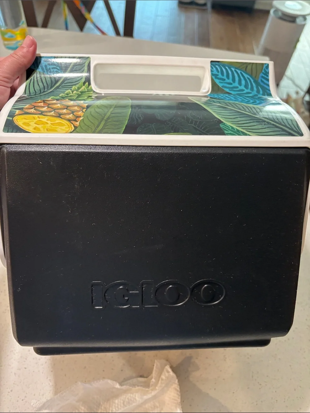 Igloo compact cooler
