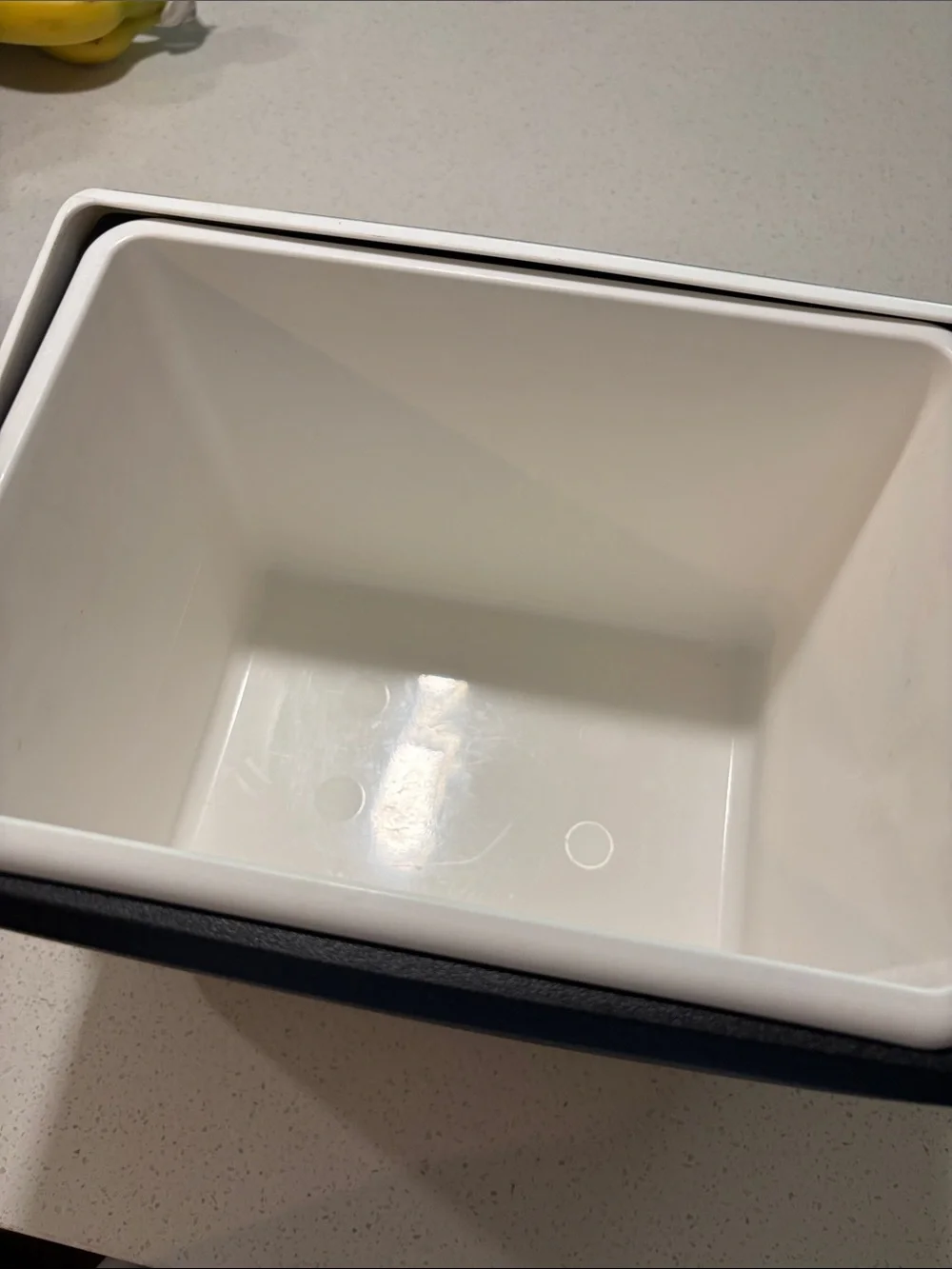 Igloo compact cooler