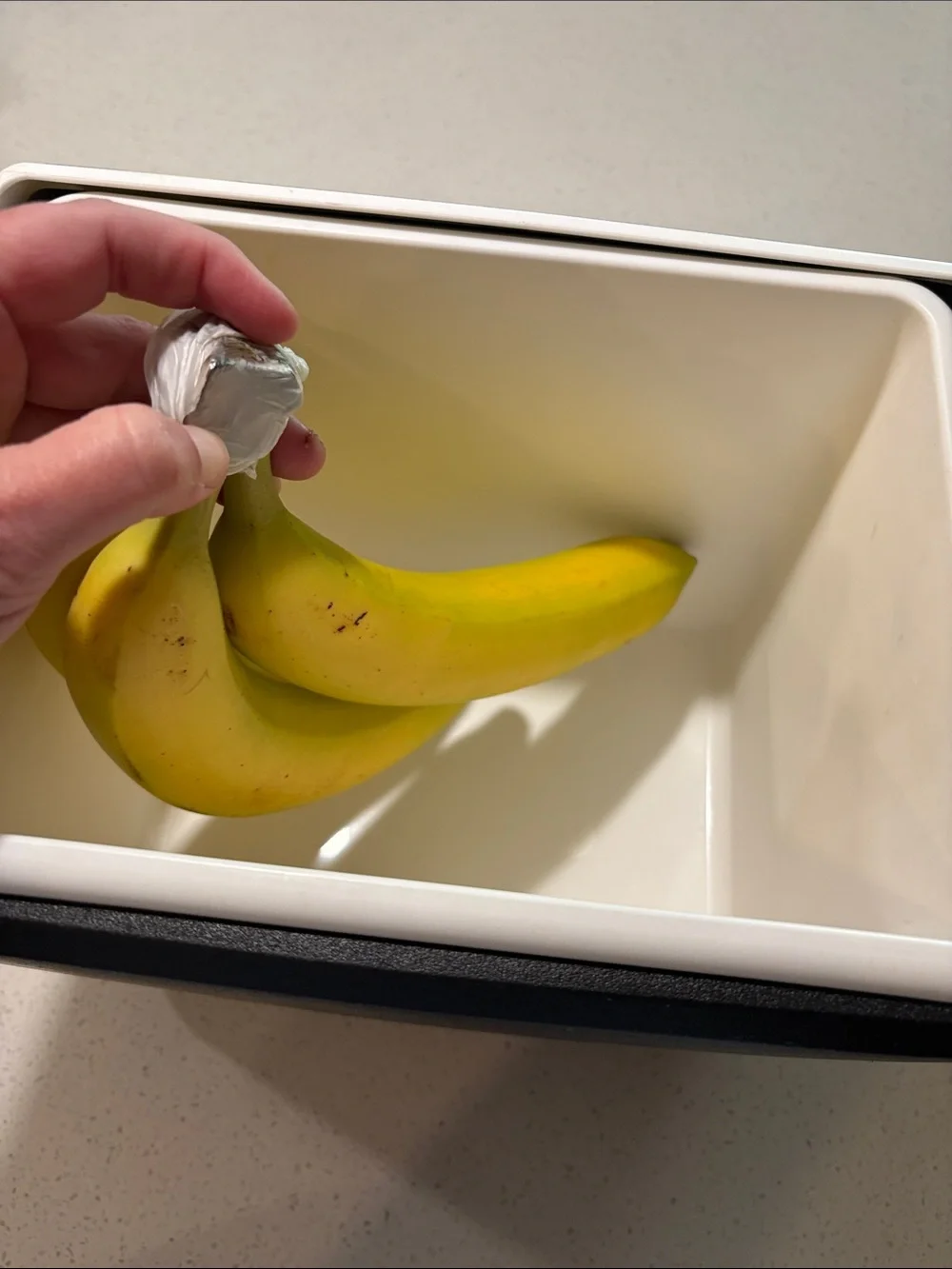 Igloo compact cooler