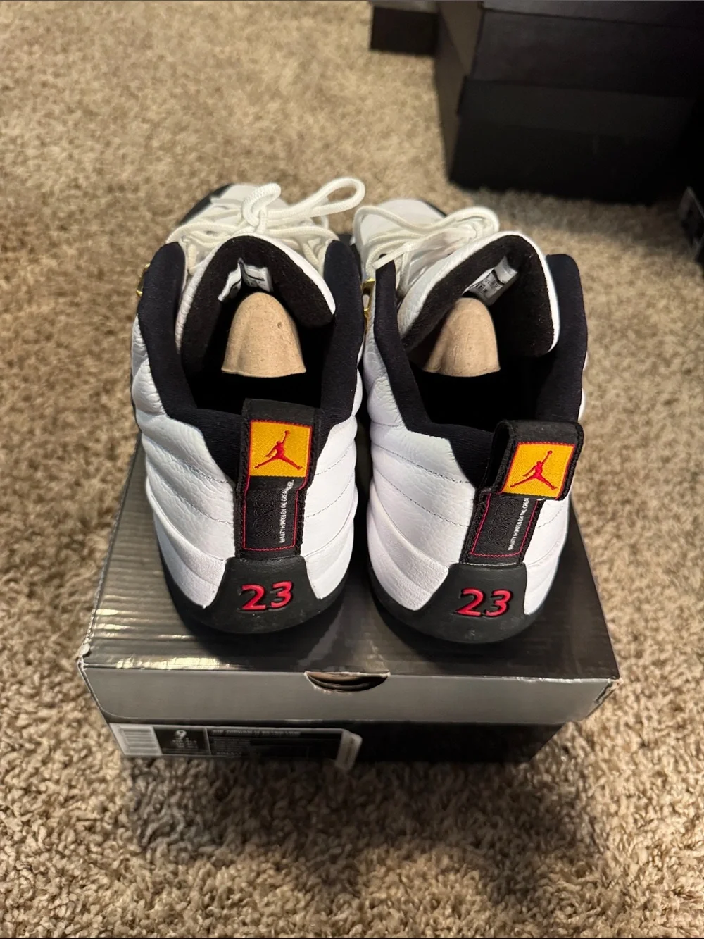 Jordan sleek sneakers