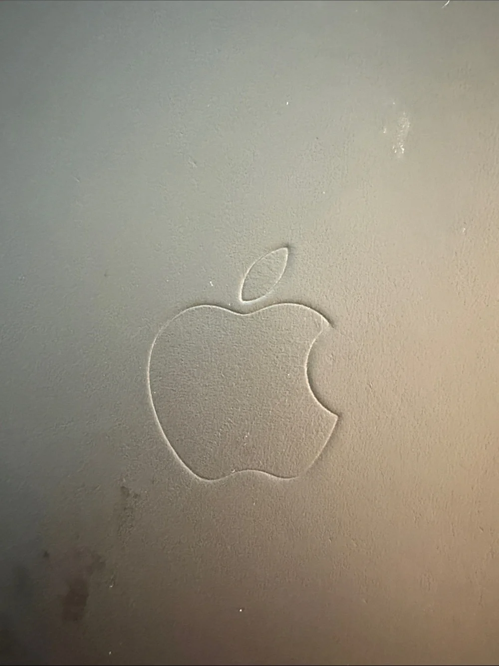 Apple your case